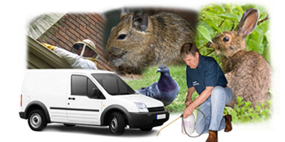 Oakengates local van